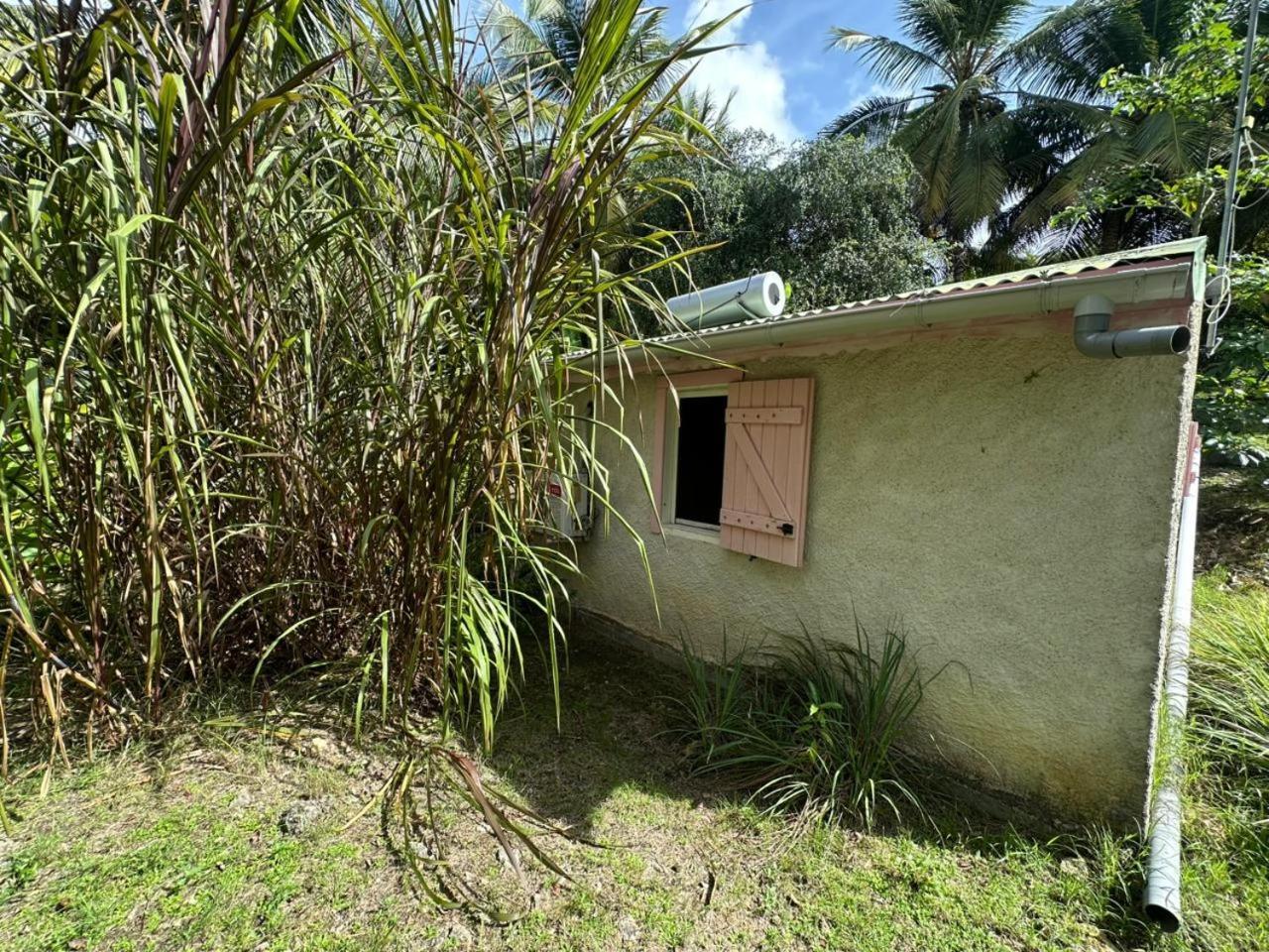 Villa Gwada Reves à Sainte-Anne  Extérieur photo