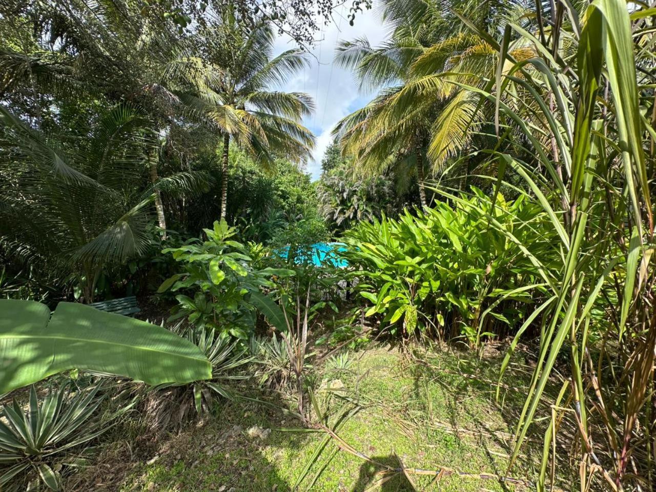 Villa Gwada Reves à Sainte-Anne  Extérieur photo