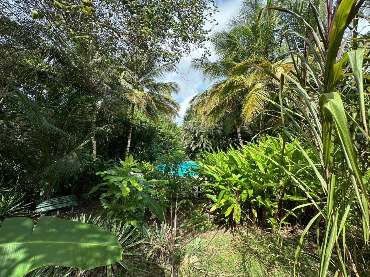 Villa Gwada Reves à Sainte-Anne  Extérieur photo