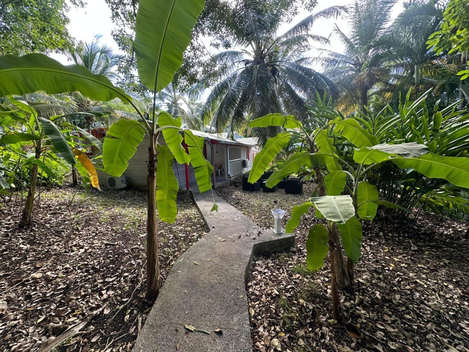 Villa Gwada Reves à Sainte-Anne  Extérieur photo