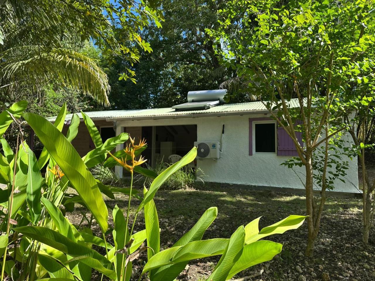 Villa Gwada Reves à Sainte-Anne  Extérieur photo