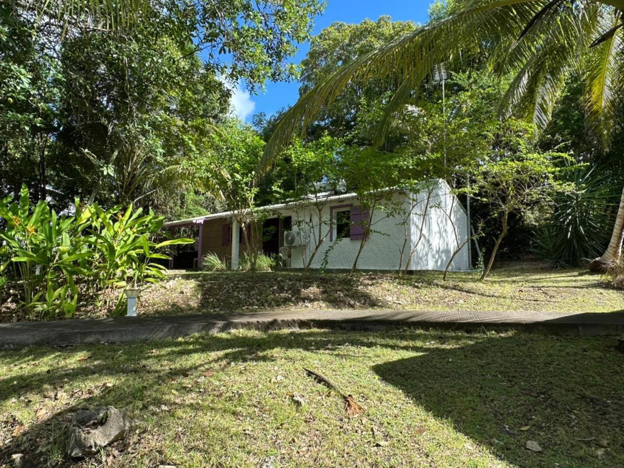 Villa Gwada Reves à Sainte-Anne  Extérieur photo